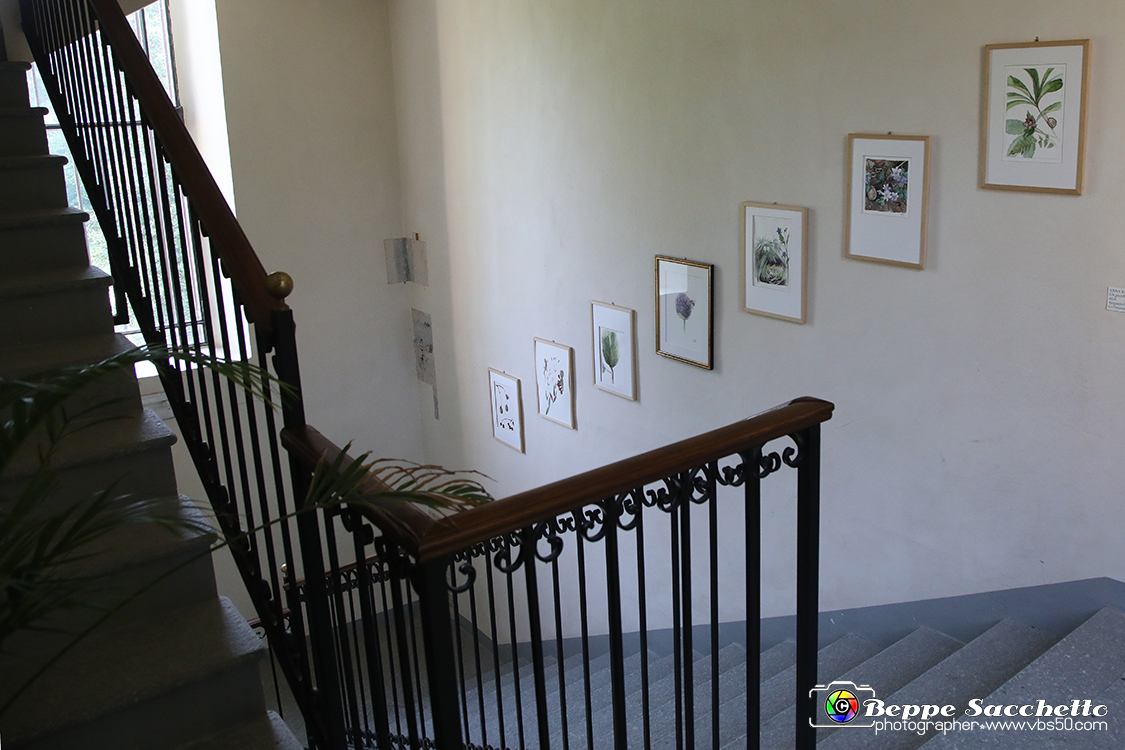 VBS_1267 - Castello di Miradolo - Mostra Oltre il giardino l'Abbecedario di paolo Pejrone.jpg